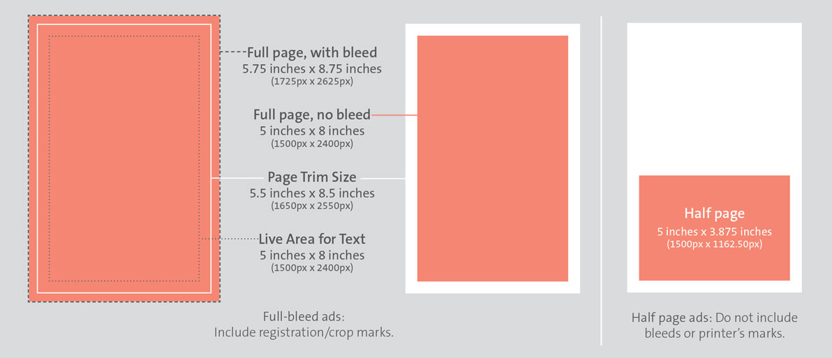 DCBP19 Ad Dimensions
